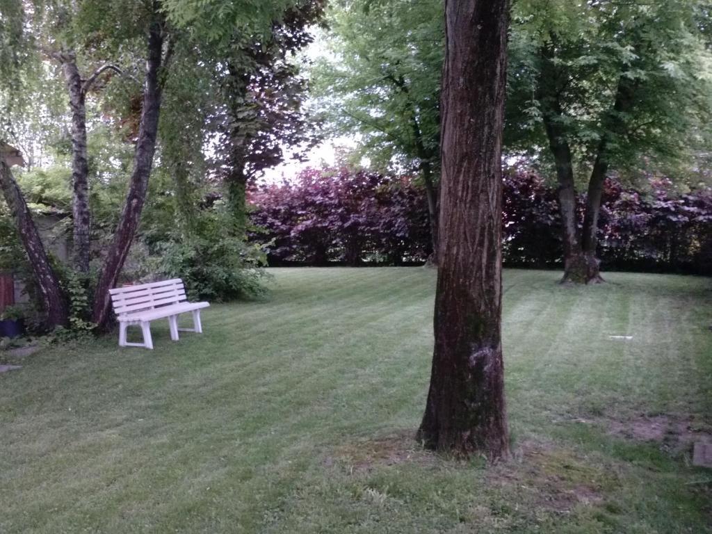 Ducathotel Torrile Exteriér fotografie